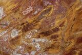 Polished Triassic Petrified Wood Heart - Madagascar #355629-1